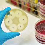 Thema im Januar 2016 - Antibiotikaresistenzen Thema im Januar 2016 - Antibiotikaresistenzen